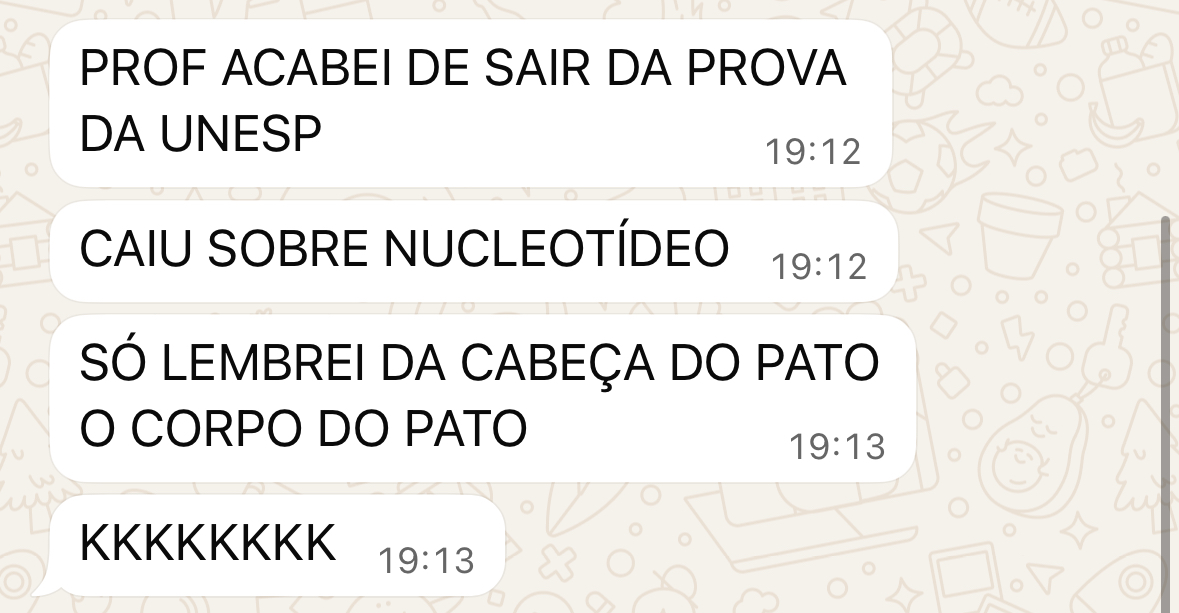 Mensagem de aluno no WhatsApp sobre a prova da Unesp