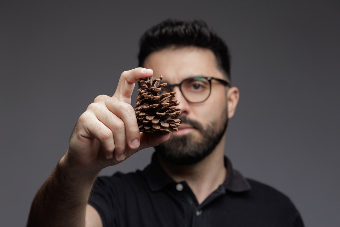 O professor observando uma pinha de perto